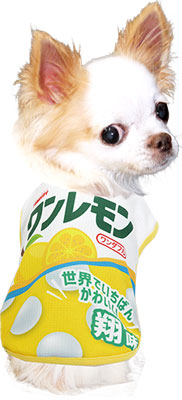 【犬 夏服用 犬の服 名入れ 春服】ひんやり 接触冷感素材 クール 愛犬のお名前入り ワンコレット シャツ【ドッグウェア お菓子 チワワ ダックス トイプードル おもしろい タムベディ】(S/B/N/H/)