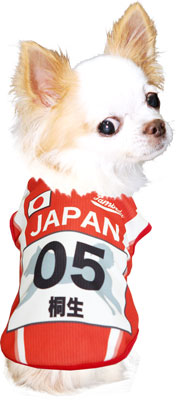 【犬 夏服 犬の服 名入れ 春服用】愛犬のお名前入り ワンニングシャツ【ドッグウェア ひんやり 接触冷感素材 クール スポーツ 陸上 日本代表 チワワ ダックス トイプードル パグ タムベディ】(S/B/N/H/)
