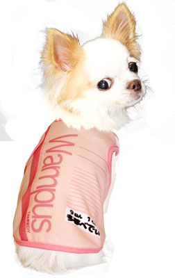 【犬 夏服 犬の服 名入れ 春服用】ひんやり 接触冷感素材 クール 愛犬のお名前入り ワンパス タンクトップ【ドッグウェア トイプードル チワワ おもしろ コーギー 暑さ対策 タムベディ】(S/B/N/H/)