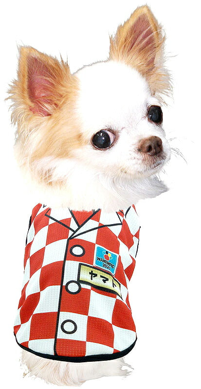 【犬服 犬 服 犬の服 春服 夏服用 名入れ】愛犬のお名前入りワンリンピック2020【ドッグウェア ひんやり 接触冷感素材 クール 日本代表 ジャケット チワワ ダックス トイプードル オシャレ 熱中症対策 タムベディ】(S/B/N/H/)