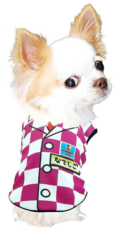 【犬服 犬 服 犬の服 春服 夏服用 名入れ】愛犬のお名前入りワンリンピック2020【ドッグウェア ひんやり 接触冷感素材 クール 日本代表 ジャケット チワワ ダックス トイプードル オシャレ 熱中症対策 タムベディ】(S/B/N/H/)