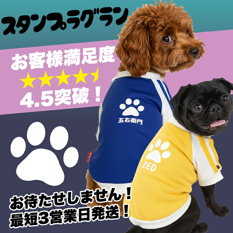 【犬服 犬 服 犬服 犬の服 名入れ】愛犬のお名前入り スタンプラグラン ジャージ【ドッグウェア 足跡 カラフル パステル トイプードル チワワ ダックス おしゃれ ポメラニアン タムベディ】(O/F/RA/L/)