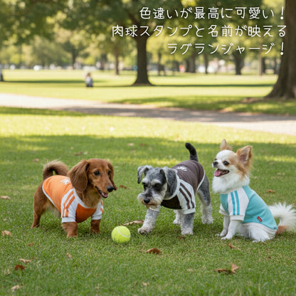 【犬服 犬 服 犬服 犬の服 名入れ】愛犬のお名前入り スタンプラグラン ジャージ【ドッグウェア 足跡 カラフル パステル トイプードル チワワ ダックス おしゃれ ポメラニアン タムベディ】(O/F/RA/L/)