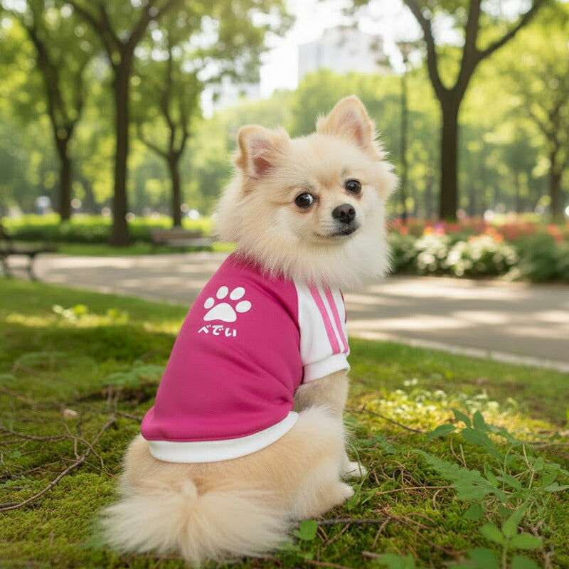 【犬服 犬 服 犬服 犬の服 名入れ】愛犬のお名前入り スタンプラグラン ジャージ【ドッグウェア 足跡 カラフル パステル トイプードル チワワ ダックス おしゃれ ポメラニアン タムベディ】(O/F/RA/L/)