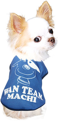【犬服 犬 服 秋冬 犬の服 名入れ】愛犬のお名前入り ワンチーム シャツ【ドッグウェア ラグビー チワワ ダックス トイプードル かわいい パピヨン タムベディ】(S/3/N/H/)