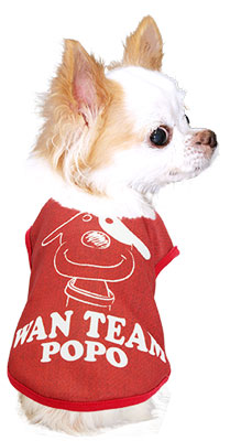 【犬服 犬 服 秋冬 犬の服 名入れ】愛犬のお名前入り ワンチーム シャツ【ドッグウェア ラグビー チワワ ダックス トイプードル かわいい パピヨン タムベディ】(S/3/N/H/)