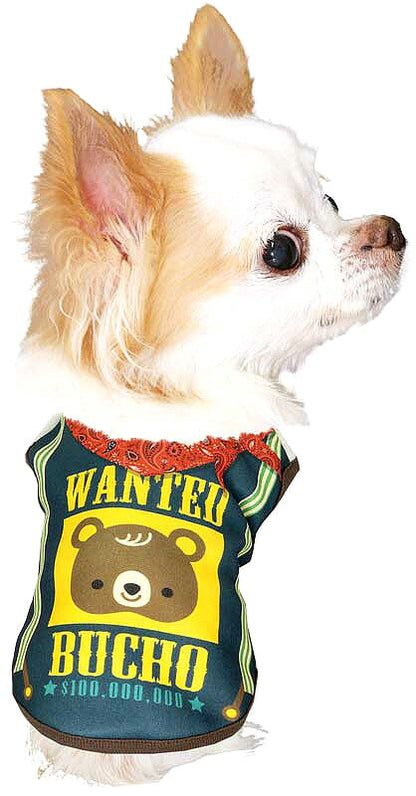 【犬服 犬 服 犬の服 名入れ 秋服 冬服用】愛犬のお名前入り ウォンテッドベア【ドッグウェア くま スカーフ ビンテージ ペット ダックス トイプードル チワワ タムベディおしゃれ】(S/3/N/H/)