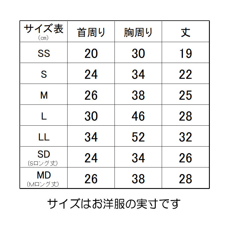 【犬服 犬 服 犬の服 名入れ 秋服 冬服用】愛犬のお名前入り ウォンテッドベア【ドッグウェア くま スカーフ ビンテージ ペット ダックス トイプードル チワワ タムベディおしゃれ】(S/3/N/H/)