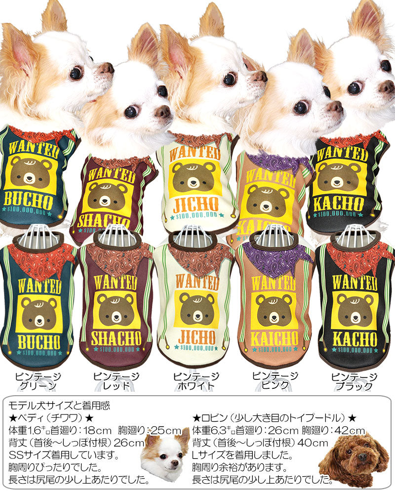 【犬服 犬 服 犬の服 名入れ 秋服 冬服用】愛犬のお名前入り ウォンテッドベア【ドッグウェア くま スカーフ ビンテージ ペット ダックス トイプードル チワワ タムベディおしゃれ】(S/3/N/H/)