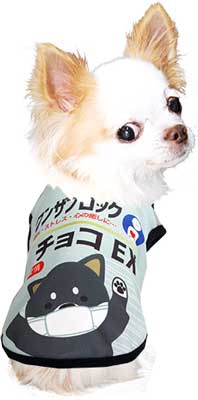 【犬服 犬 服 秋冬 犬の服 名入れ】愛犬のお名前入り ワンザブロック シャツ【ドッグウェア 風邪薬 パロディ チワワ ダックス トイプードル おもしろい コーギー タムベディ】(S/3/N/H/)
