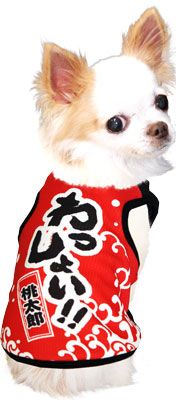 【犬服 犬 服 春夏服用 犬の服 名入れ】ひんやり 接触冷感素材 クール 愛犬のお名前入り わっしょい タンクトップ【ドッグウェア トイプードル チワワ おもしろ ポメラニアン 暑さ対策 タムベディ】(S/B/T/H/)