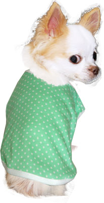 【犬服 犬 服 犬の服】ホワイトドット シャツ【ドッグウェア 部屋着 トイプードル チワワ ダックス かわいい シーズー タムベディ】