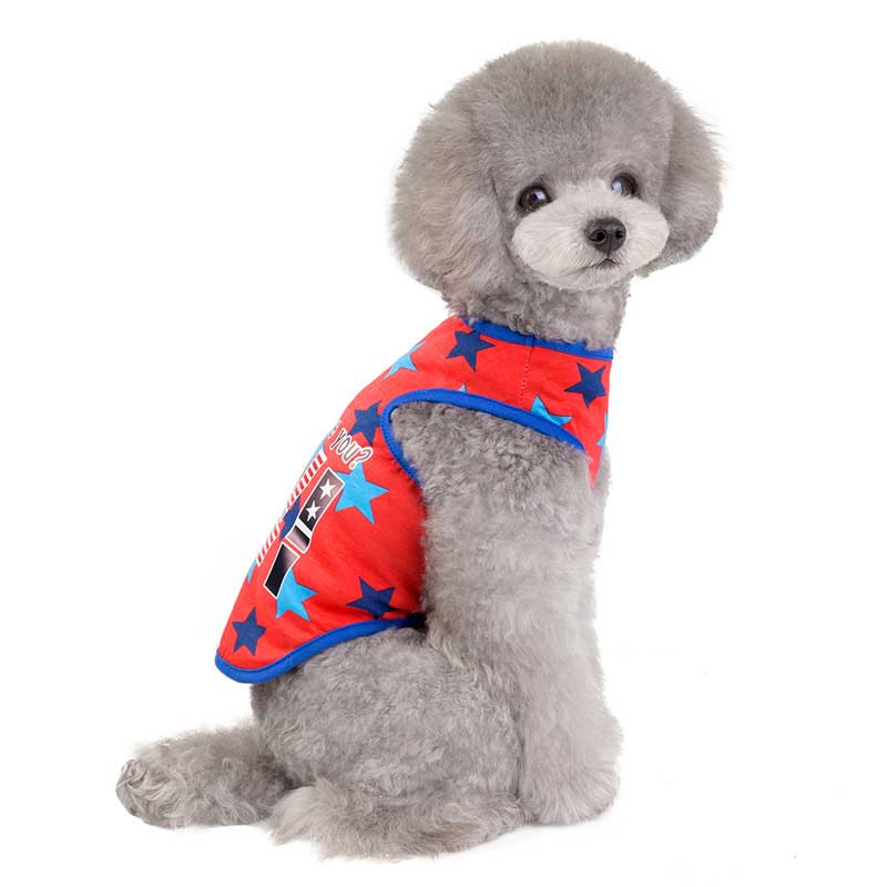 【犬 夏服 犬の服 春服用】《名入れ可能》Wスターシャツ【ドッグウェア ペット アウトレット ダックス トイプードル チワワ 服 タムベディ おしゃれ シーズー】[CN][GI]