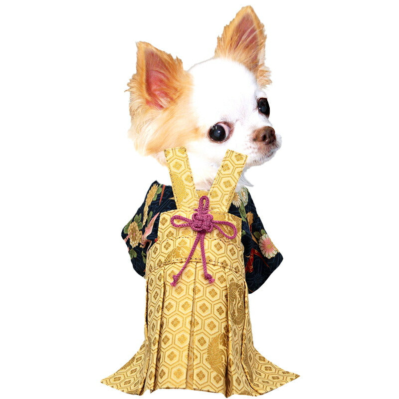 【着物 犬 服 犬の服 秋服 冬服用】男振り袴 瑞祥(ずいしょう)《名入れ可能》【日本製 和柄 お正月 初詣 七五三 はかまドッグ ペット ウェア ダックス トイプードル チワワ タムベディ 渋い 豆柴】