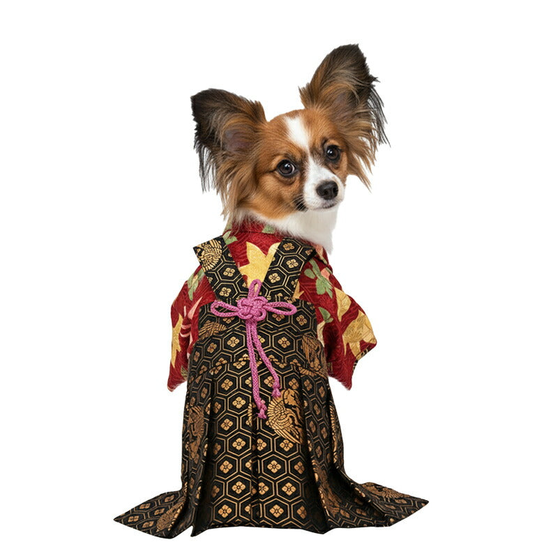 【着物 犬 服 犬の服 秋服 冬服用】男振り袴 瑞祥(ずいしょう)《名入れ可能》【日本製 和柄 お正月 初詣 七五三 はかまドッグ ペット ウェア ダックス トイプードル チワワ タムベディ 渋い 豆柴】